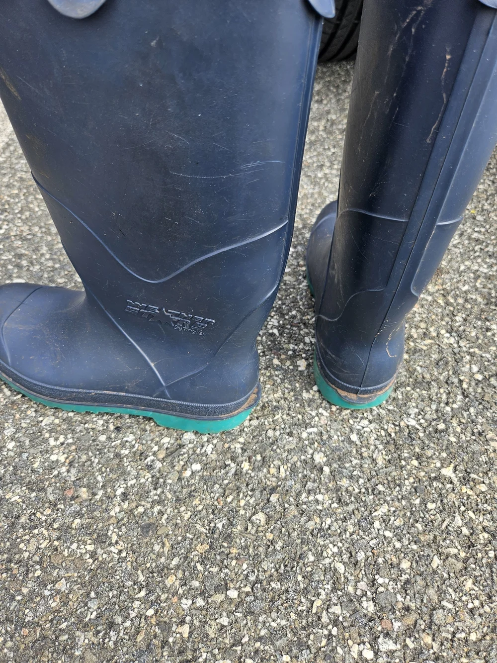 Classic Women's Navygaloshes/ Garden Boots - Waterproof